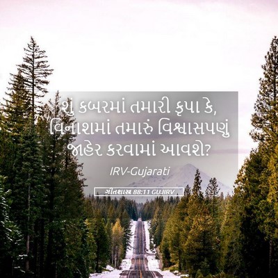 Picture 05 - ગીતશાસ્ત્ર 88:11 GUJIRV - શું કબરમાં તમારી - Bible Verse Picture