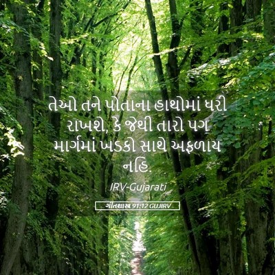 Picture 05 - ગીતશાસ્ત્ર 91:12 GUJIRV - તેઓ તને પોતાના - Bible Verse Picture