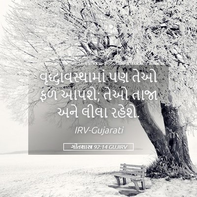 Picture 05 - ગીતશાસ્ત્ર 92:14 GUJIRV - વૃદ્ધાવસ્થામાં પણ - Bible Verse Picture