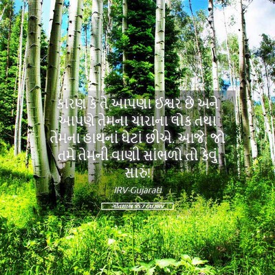 Picture 05 - ગીતશાસ્ત્ર 95:7 GUJIRV - કારણ કે તે આપણા - Bible Verse Picture