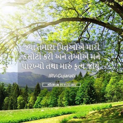 Picture 05 - ગીતશાસ્ત્ર 95:9 GUJIRV - જ્યાં તમારા - Bible Verse Picture