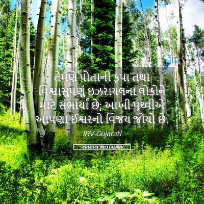 Picture 05 - ગીતશાસ્ત્ર 98:3 GUJIRV - તેમણે પોતાની કૃપા - Bible Verse Picture