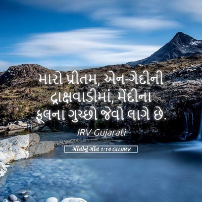 Picture 05 - ગીતોનું ગીત 1:14 GUJIRV - મારો પ્રીતમ, - Bible Verse Picture