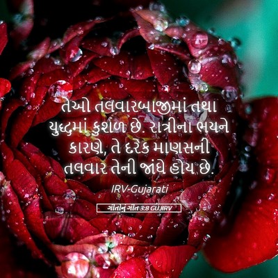 Picture 05 - ગીતોનું ગીત 3:8 GUJIRV - તેઓ તલવારબાજીમાં - Bible Verse Picture