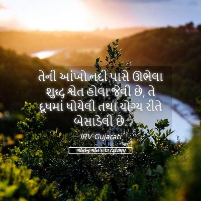 Picture 05 - ગીતોનું ગીત 5:12 GUJIRV - તેની આંખો નદી પાસે - Bible Verse Picture