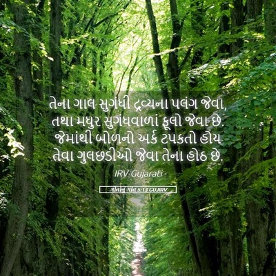 Picture 05 - ગીતોનું ગીત 5:13 GUJIRV - તેના ગાલ સુગંધી - Bible Verse Picture