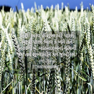 Picture 05 - ગીતોનું ગીત 6:13 GUJIRV - પાછી આવ, હે - Bible Verse Picture