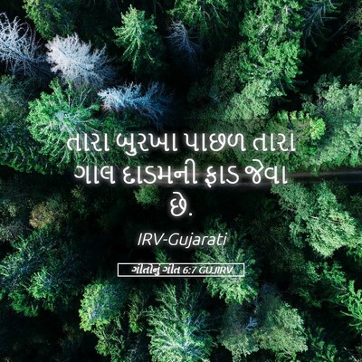 Picture 05 - ગીતોનું ગીત 6:7 GUJIRV - તારા બુરખા પાછળ - Bible Verse Picture