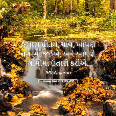 Picture 05 - ગીતોનું ગીત 7:11 GUJIRV - હે મારા પ્રીતમ, - Bible Verse Picture