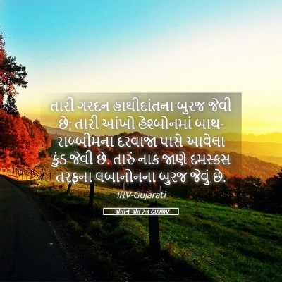 Picture 05 - ગીતોનું ગીત 7:4 GUJIRV - તારી ગરદન - Bible Verse Picture