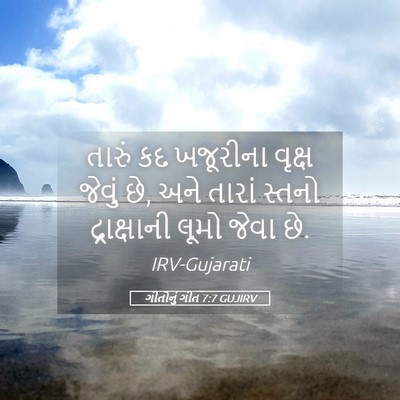 Picture 05 - ગીતોનું ગીત 7:7 GUJIRV - તારું કદ ખજૂરીના - Bible Verse Picture