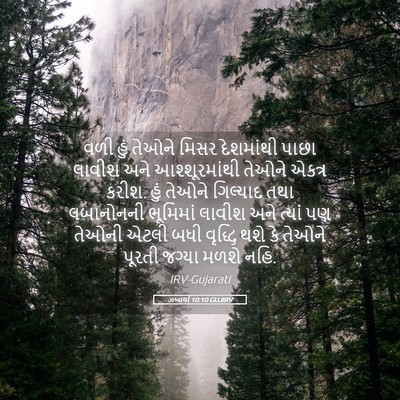 Picture 05 - ઝખાર્યા 10:10 GUJIRV - વળી હું તેઓને મિસર - Bible Verse Picture
