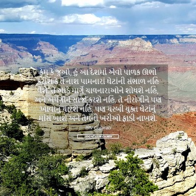 Picture 05 - ઝખાર્યા 11:16 GUJIRV - કેમ કે જુઓ, હું આ - Bible Verse Picture