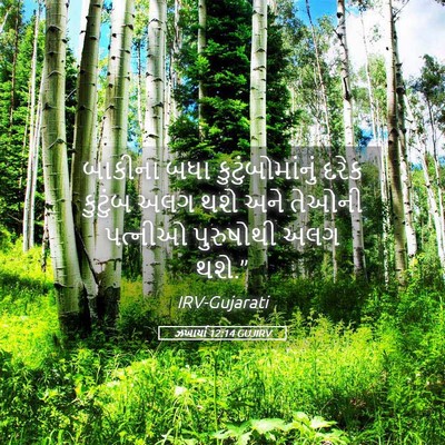 Picture 05 - ઝખાર્યા 12:14 GUJIRV - બાકીના બધા - Bible Verse Picture