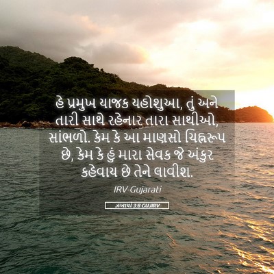 Picture 05 - ઝખાર્યા 3:8 GUJIRV - હે પ્રમુખ યાજક - Bible Verse Picture