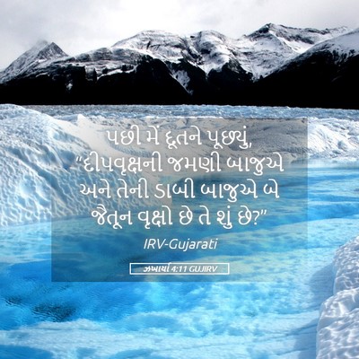 Picture 05 - ઝખાર્યા 4:11 GUJIRV - પછી મેં દૂતને - Bible Verse Picture