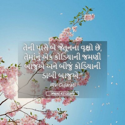 Picture 05 - ઝખાર્યા 4:3 GUJIRV - તેની પાસે બે - Bible Verse Picture