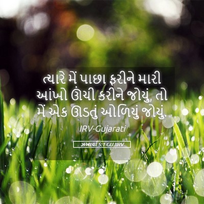 Picture 05 - ઝખાર્યા 5:1 GUJIRV - ત્યારે મેં પાછા - Bible Verse Picture