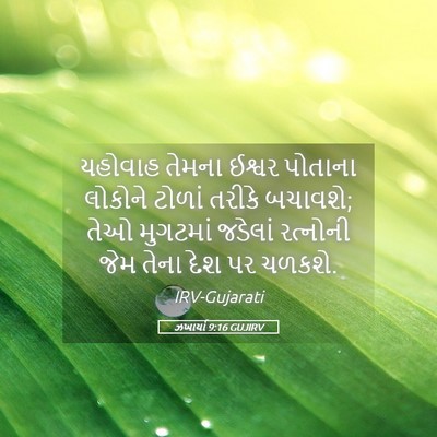 Picture 05 - ઝખાર્યા 9:16 GUJIRV - યહોવાહ તેમના - Bible Verse Picture