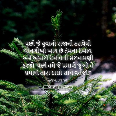 Picture 05 - દાનિયેલ 1:13 GUJIRV - પછી જે યુવાનો - Bible Verse Picture