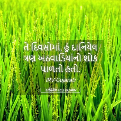 Picture 05 - દાનિયેલ 10:2 GUJIRV - તે દિવસોમાં, હું - Bible Verse Picture