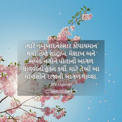 Picture 05 - દાનિયેલ 3:13 GUJIRV - ત્યારે - Bible Verse Picture