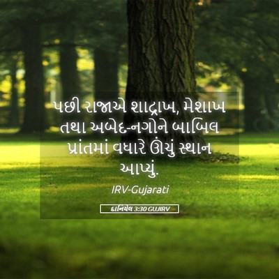 Picture 05 - દાનિયેલ 3:30 GUJIRV - પછી રાજાએ શાદ્રાખ, - Bible Verse Picture