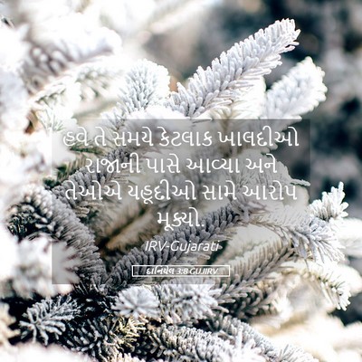 Picture 05 - દાનિયેલ 3:8 GUJIRV - હવે તે સમયે કેટલાક - Bible Verse Picture