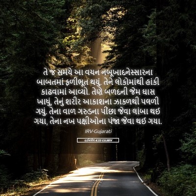 Picture 05 - દાનિયેલ 4:33 GUJIRV - તે જ સમયે આ વચન - Bible Verse Picture