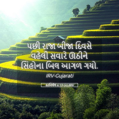 Picture 05 - દાનિયેલ 6:19 GUJIRV - પછી રાજા બીજા - Bible Verse Picture