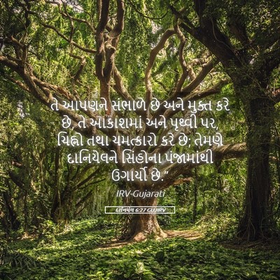 Picture 05 - દાનિયેલ 6:27 GUJIRV - તે આપણને સંભાળે છે - Bible Verse Picture