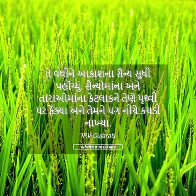 Picture 05 - દાનિયેલ 8:10 GUJIRV - તે વધીને આકાશના - Bible Verse Picture