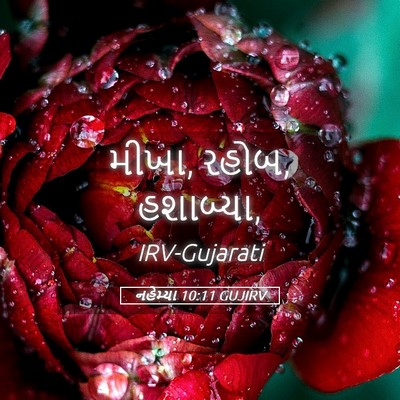 Picture 05 - નહેમ્યા 10:11 GUJIRV - મીખા, રહોબ, - Bible Verse Picture