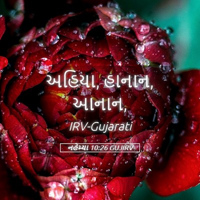 Picture 05 - નહેમ્યા 10:26 GUJIRV - અહિયા, હાનાન, - Bible Verse Picture