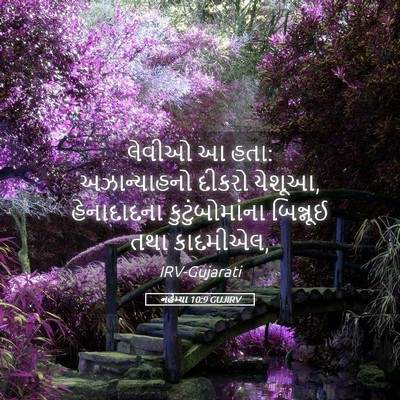 Picture 05 - નહેમ્યા 10:9 GUJIRV - લેવીઓ આ હતા: - Bible Verse Picture