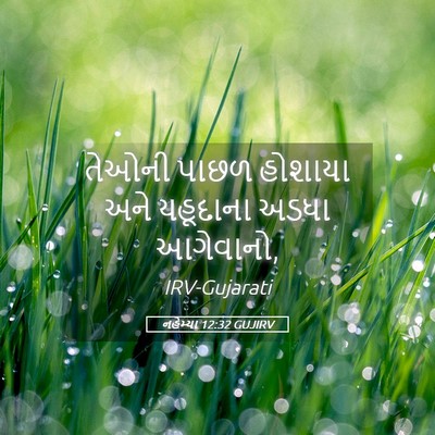 Picture 05 - નહેમ્યા 12:32 GUJIRV - તેઓની પાછળ હોશાયા - Bible Verse Picture
