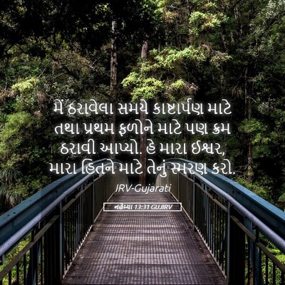 Picture 05 - નહેમ્યા 13:31 GUJIRV - મેં ઠરાવેલા સમયે - Bible Verse Picture