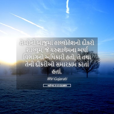Picture 05 - નહેમ્યા 3:12 GUJIRV - તેઓની બાજુમાં - Bible Verse Picture