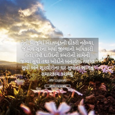 Picture 05 - નહેમ્યા 3:16 GUJIRV - તેની બાજુમાં - Bible Verse Picture