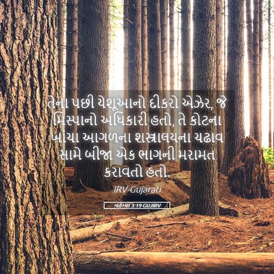Picture 05 - નહેમ્યા 3:19 GUJIRV - તેના પછી યેશૂઆનો - Bible Verse Picture