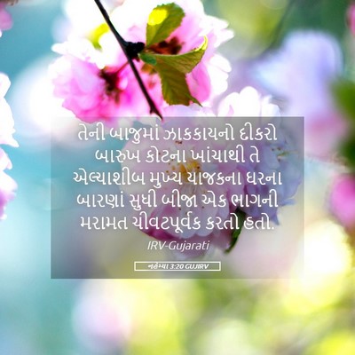 Picture 05 - નહેમ્યા 3:20 GUJIRV - તેની બાજુમાં - Bible Verse Picture