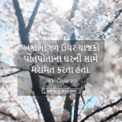 Picture 05 - નહેમ્યા 3:28 GUJIRV - અશ્વભાગળ ઉપર - Bible Verse Picture
