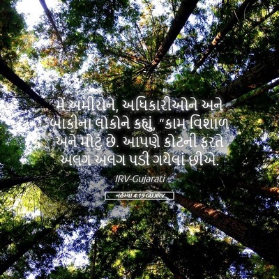 Picture 05 - નહેમ્યા 4:19 GUJIRV - મેં અમીરોને, - Bible Verse Picture