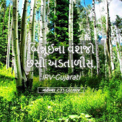 Picture 05 - નહેમ્યા 7:15 GUJIRV - બિન્નૂઈના વંશજો - Bible Verse Picture