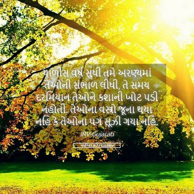 Picture 05 - નહેમ્યા 9:21 GUJIRV - ચાળીસ વર્ષ સુધી - Bible Verse Picture