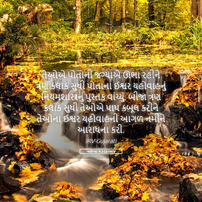 Picture 05 - નહેમ્યા 9:3 GUJIRV - તેઓએ પોતાની - Bible Verse Picture