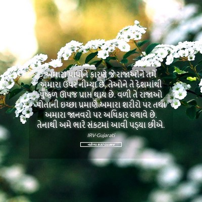 Picture 05 - નહેમ્યા 9:37 GUJIRV - અમારા પાપોને - Bible Verse Picture