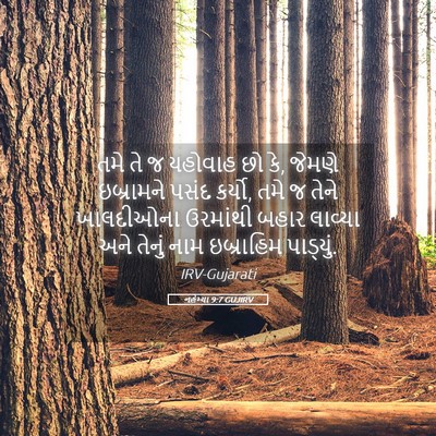 Picture 05 - નહેમ્યા 9:7 GUJIRV - તમે તે જ યહોવાહ છો - Bible Verse Picture