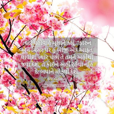 Picture 05 - નિર્ગમન 11:1 GUJIRV - ત્યારે યહોવાહે - Bible Verse Picture
