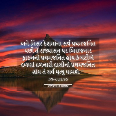 Picture 05 - નિર્ગમન 11:5 GUJIRV - અને મિસર દેશમાંના - Bible Verse Picture